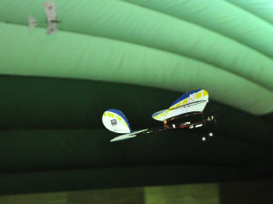 3indoors6.jpg (85842 bytes)