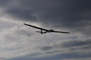 _DSC7866.JPG (90291 bytes)