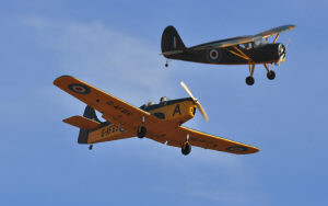 ad2.jpg (61977 bytes)