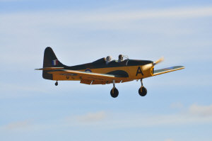 ad3.jpg (44071 bytes)