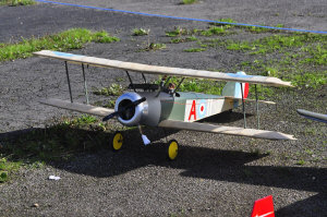 ad6.jpg (297953 bytes)