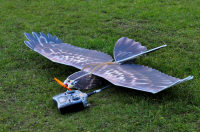 bird2.jpg (210128 bytes)