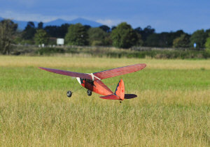 cookie2.jpg (182235 bytes)