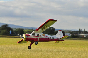 nice-beaver.jpg (95101 bytes)