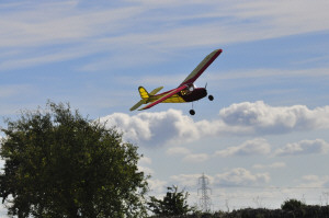 pic22.jpg (123224 bytes)